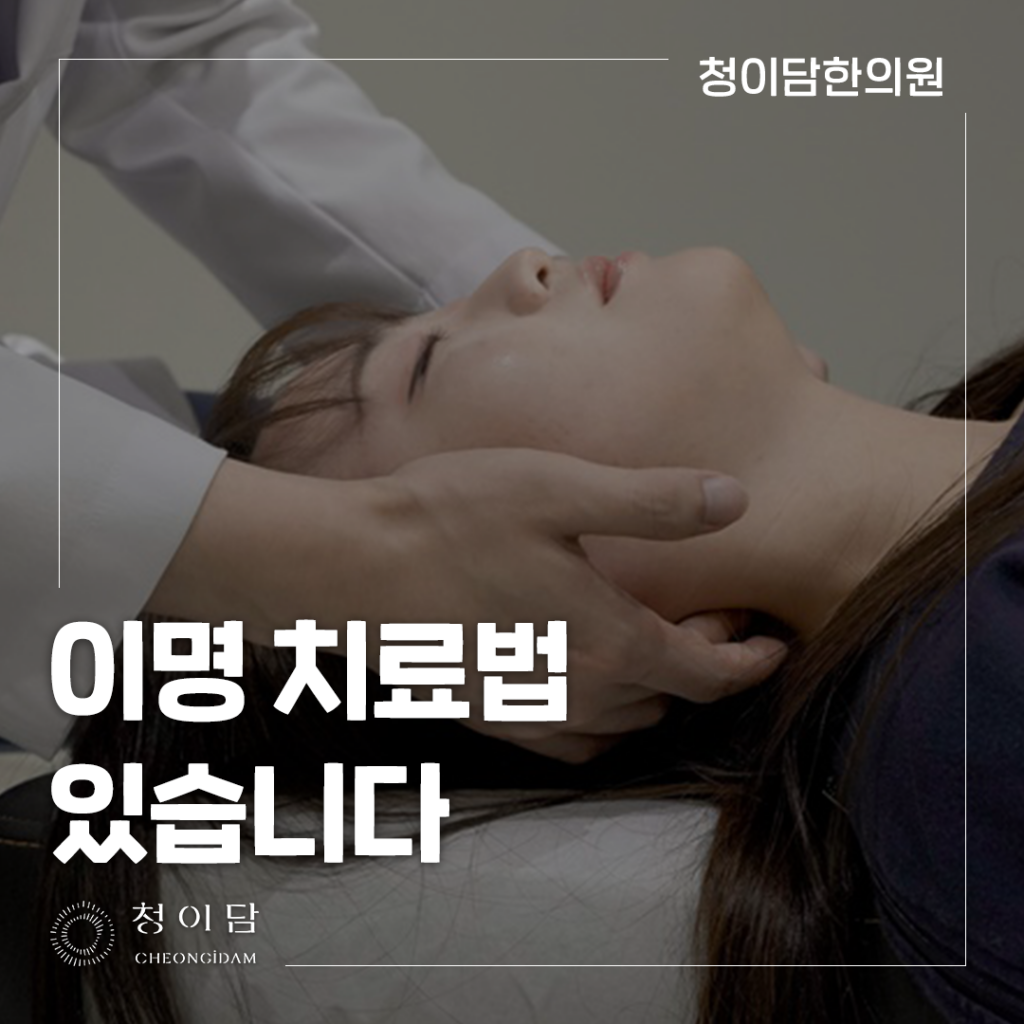 귀 이명 약